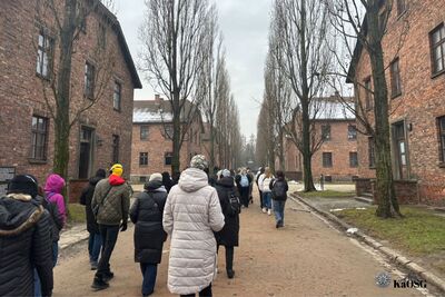 Grupa osób idzie po alei w obozie Auschwitz I, otoczonej rzędami wysokich, ceglanych baraków po obu stronach. Pomiędzy budynkami rosną rzędy drzew bez liści. Zwiedzający są ubrani w ciepłe, zimowe kurtki.