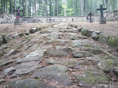 Prace porządkowe na cmentarzach z I Wojny Światowej #7