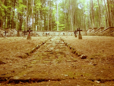 Prace porządkowe na cmentarzach z I Wojny Światowej #8