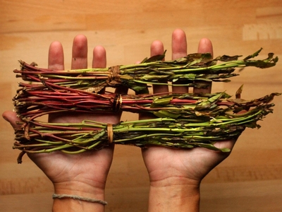 Egzotyczna podróż zakończona zatrzymaniem - źródło: http://www.independent.co.uk