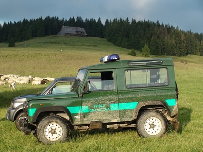 Wspólny patrol funkcjonariuszy KaOSG ze Strażą Parku - źródło: Gorczański Park Narodowy