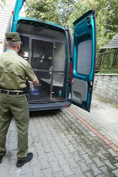 ob. Gruzji zatrzymany przez funkcjonariuszy PSG w Zakopanem