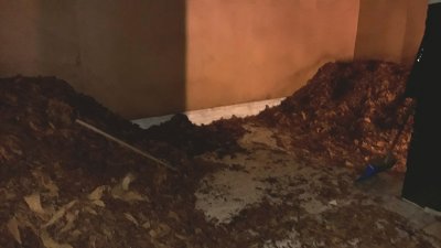 Funkcjonariusze KaOSG zlikwidowali nielegalną przetwórnię tytoniu 