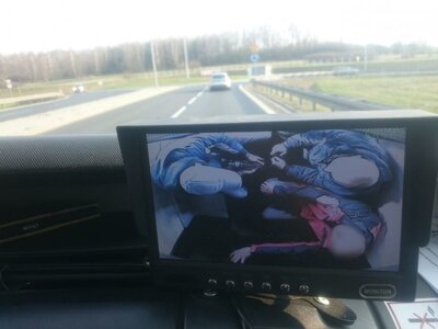 Przerwana podróż obywateli Ukrainy