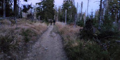 Wspólny patrol