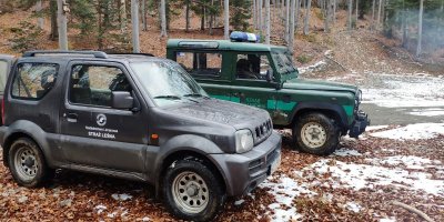 Więcej patroli w kompleksach leśnych 
