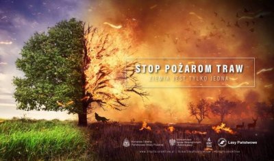 Stop 