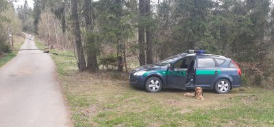 Czworonożny pomocnik potrzebuje domu - fot. sierż. szt. SG Piotr Kawecki