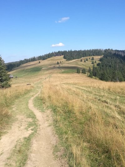 Szkolenie w terenie