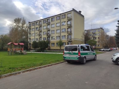 Wzajemne wsparcie służb 