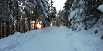 Przebiegli, przeszli, przejechali blisko 500 km dla Marcina