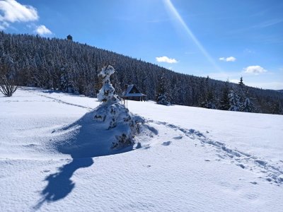 Przebiegli, przeszli, przejechali blisko 500 km dla Marcina