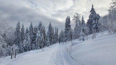 Przebiegli, przeszli, przejechali blisko 500 km dla Marcina