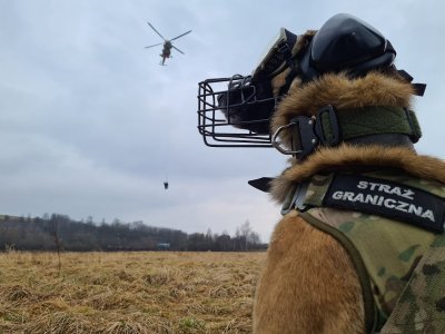8 dni szkolenia w powietrzu