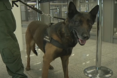 III Lotniskowe Targi Zawodoznawcze z udziałem funkcjonariuszy KaOSG