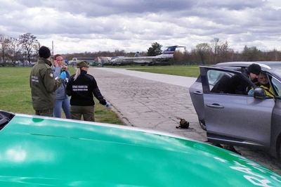 Służby w gotowości - funkcjonariusze KaOSG podczas ćwiczeń z wykorzystaniem szpitala polowego