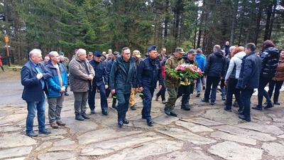 Łączą nas Drzewa # fot. sadeczanin.info
