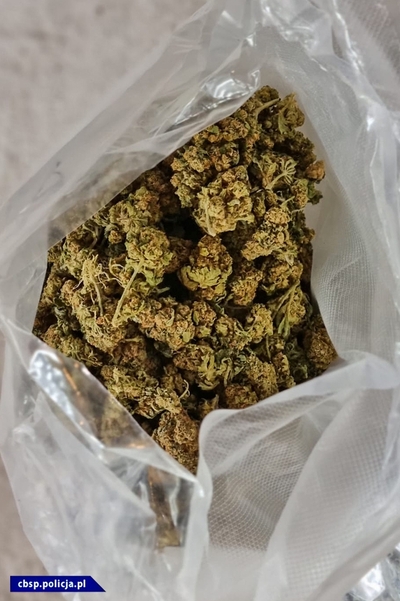 Marihuana ukryta w transporcie hiszpańskiego wina 