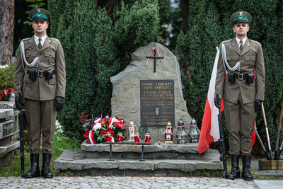 fot. dts24.pl