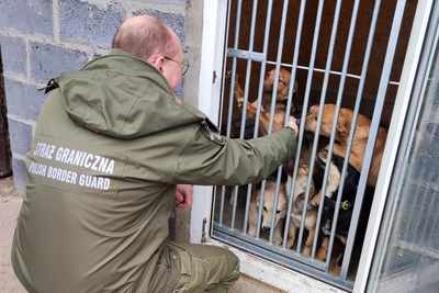 Krakowscy funkcjonariusze SG dla zwierząt 