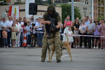 fot. Starostwo Powiatowe w Dąbrowie Tarnowskiej 