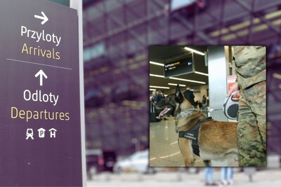 Kolaż zdjęć. W tle rozmazany budynek Kraków Airport. Po lewej tablica z napisem Przyloty/ Arrivals oraz Odloty/Departures. Pies  służbowy w szelkach z napisem Straż Graniczna trzymany przez przewodnika - funkcjonariusza Straży Granicznej.