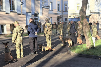 Przed budynkiem stoją ukraińscy przewodnicy psów saperskich, trenerzy psów z Unii Europejskiej i psy. W tle stoją funkcjonariusze Straży Granicznej.