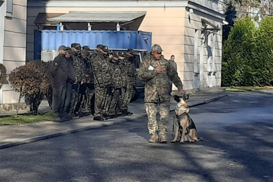 Przed budynkiem stoją funkcjonariusze Straży Granicznej. Przed nimi ukraiński przewodnik z psem saperskim prezentuje pokaz umiejętności swojego podopiecznego.