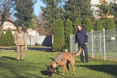 Na trawniku jeden z ukraińskich funkcjonariuszy w obecności trenera prezentuje umiejętności psa służbowego. Pies wącha linę rozłożoną na trawniku.