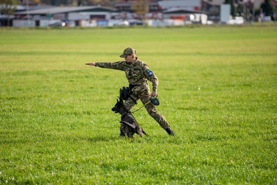 Na trawie bokiem w rozkroku z wyciągniętą na wysokości szyi na wprost ręką stoi funkcjonariuszka ukraińskich sił zbrojnych. Przed nią na smyczy pies saperski wykonujący polecenia przewodniczki. W tle zabudowania mieszkalne.