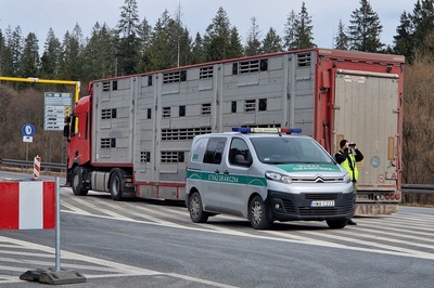 rejon byłego przejścia granicznego w chyżnem. stoi tir podczas kontroli drogowej. przy końcu naczepy stoi samochód służbowy sg i funkcjonariusz sg w odblaskowej kamizelce typujący samochody do kontroli. patrzy przez lornetkę