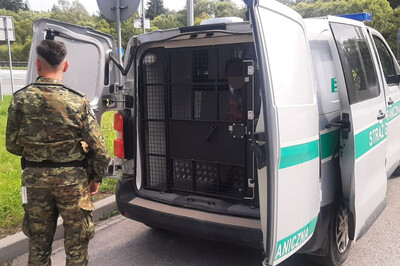 Przed tyłem samochodu typu więźniarka stoi funkcjonariusz, są otwarte drzwi. Widać siedzącego na pace za kratami mężczyznę, który ma zapikselizowaną twarz.