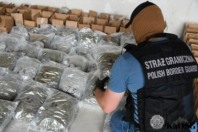 Funkcjonariusz nieumundurowany z opaską na ramieniu z napisem straż graniczna kuca przy rozłożonych na podłodze workach z suszem roślinnym. jeden z nich funkcjonariusz trzyma w rękach