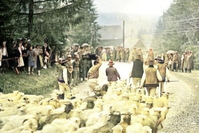 fot. Narodowe Archiwum Cyfrowe